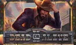 Play Dead or Alive 2 at Mr Jones