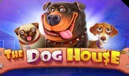 Play The Dog House at Mr Jones